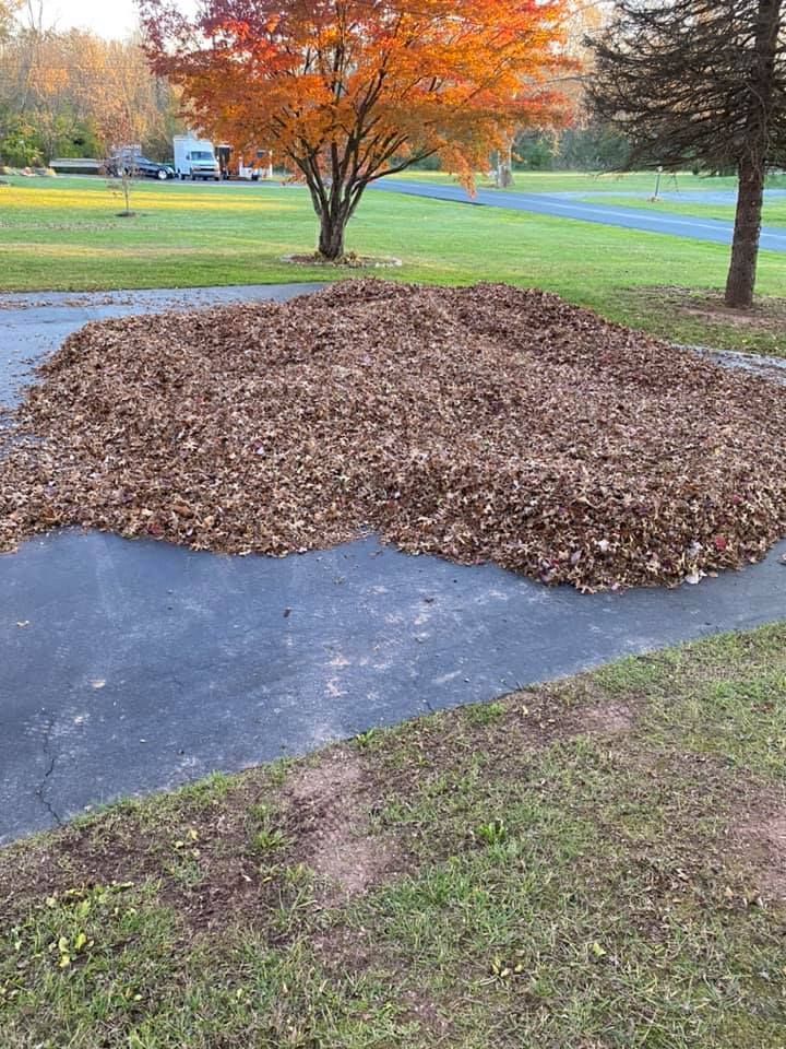 Large pile of fallen brown leaves on a dark driveway; autumn tree with orange leaves in the background.