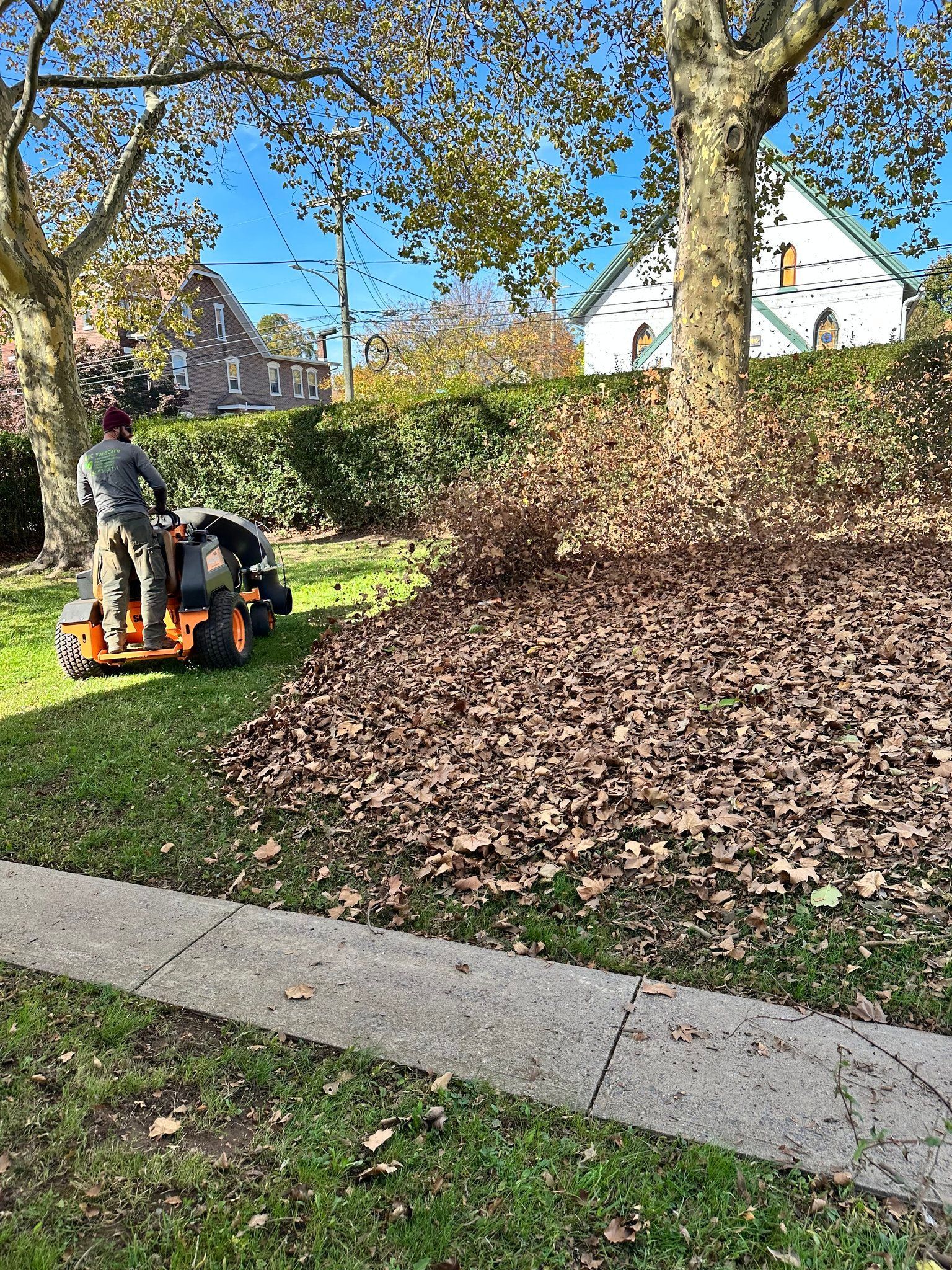 Man on lawnmower collecting leaves on a grassy lawn with a sidewalk and a building in the background.