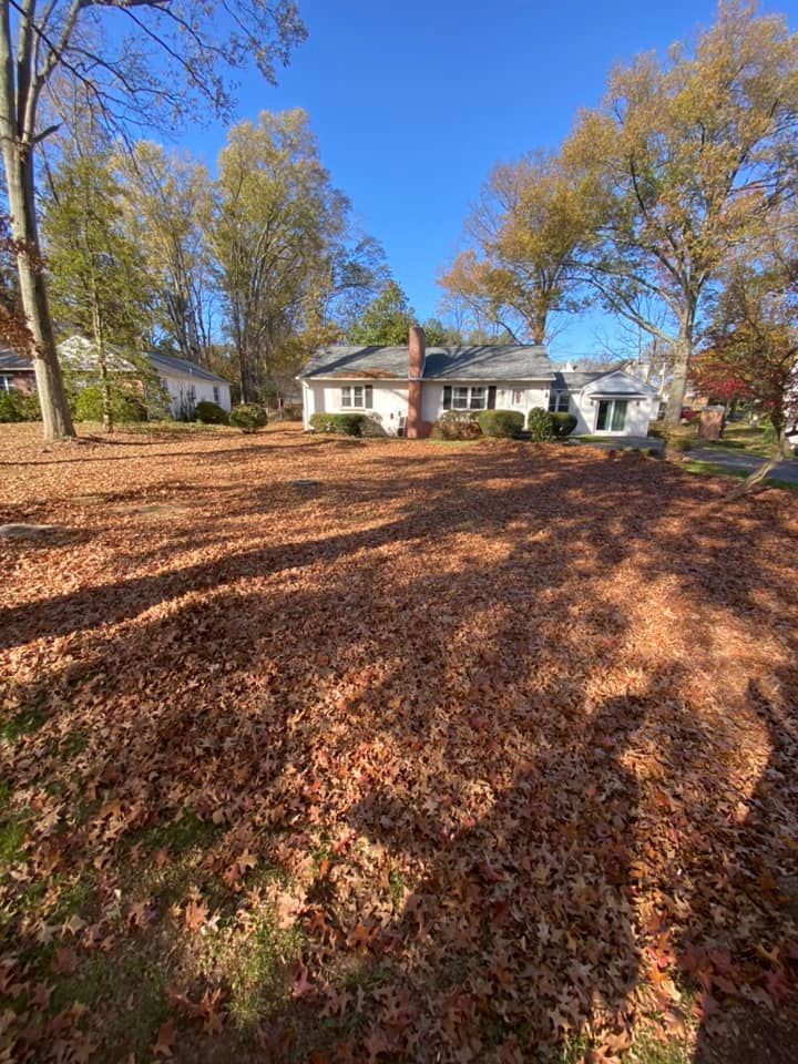 Yard covered in fallen brown leaves in front of a white house with a chimney and trees in the background under a blue sky.