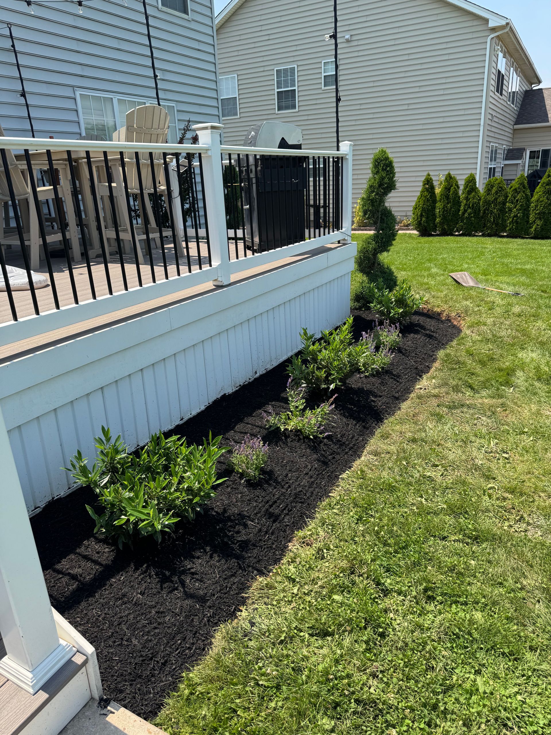 A white deck with black railings and a garden bed filled with mulch and green bushes.