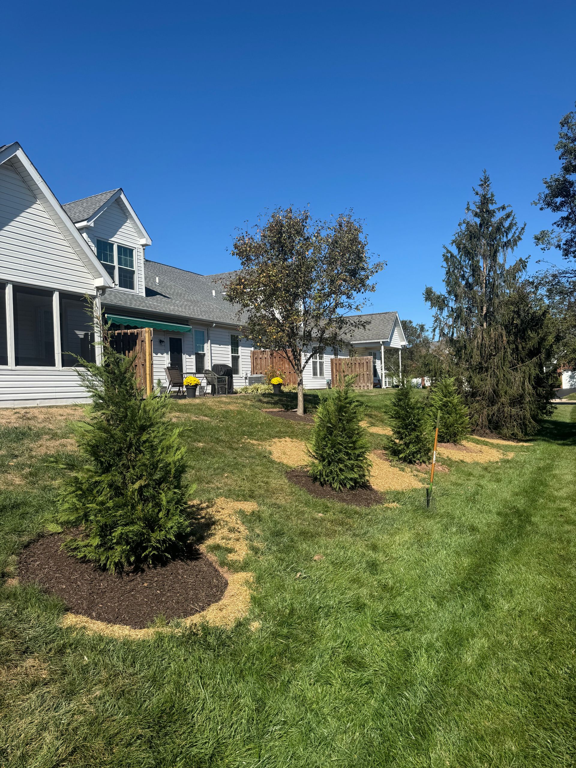Backyard with manicured lawn, shrubs, and trees along the perimeter; houses in the background on a sunny day.