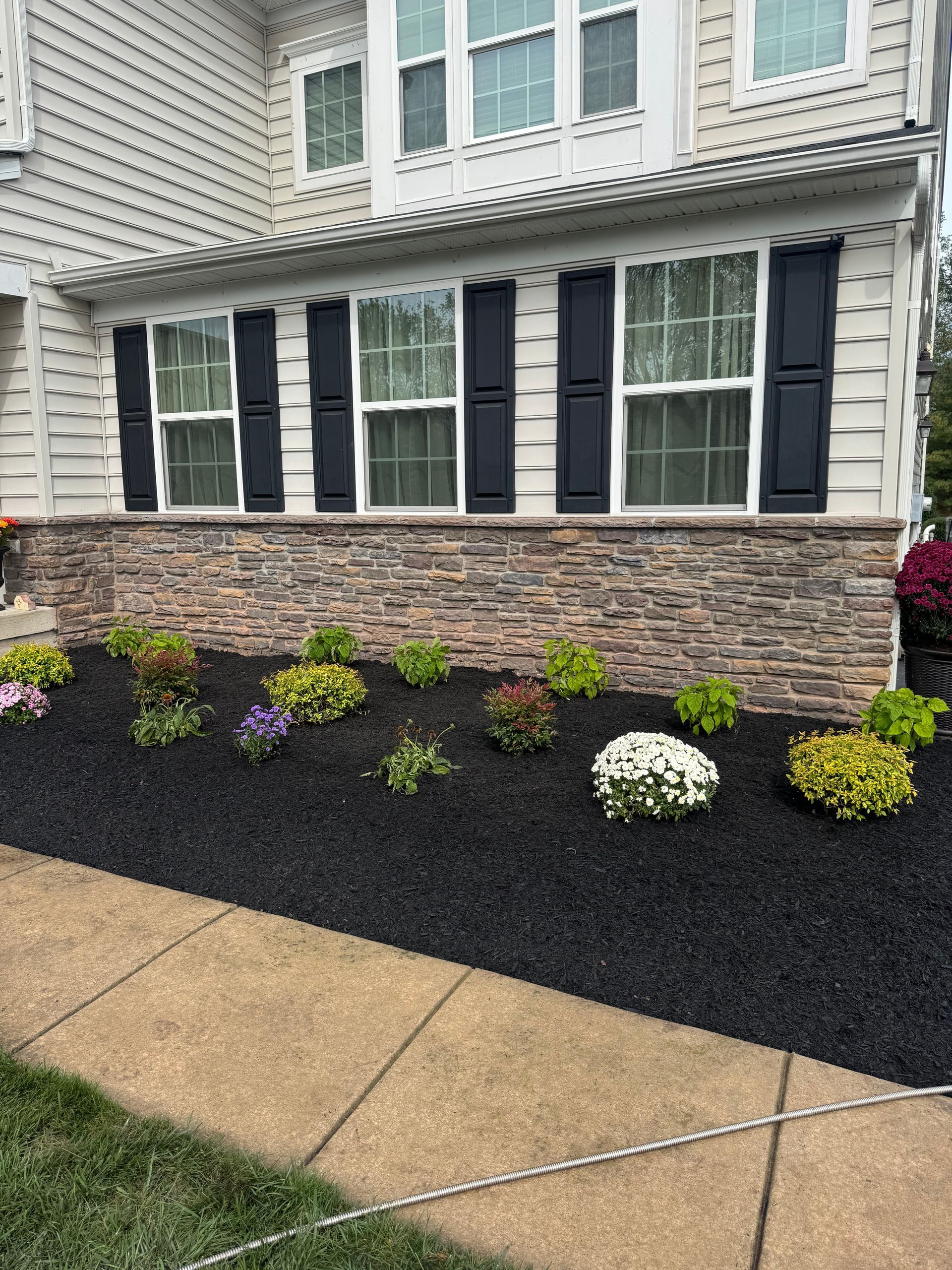 A house with stone facade and black shutters, flower bed with black mulch and colorful plants.