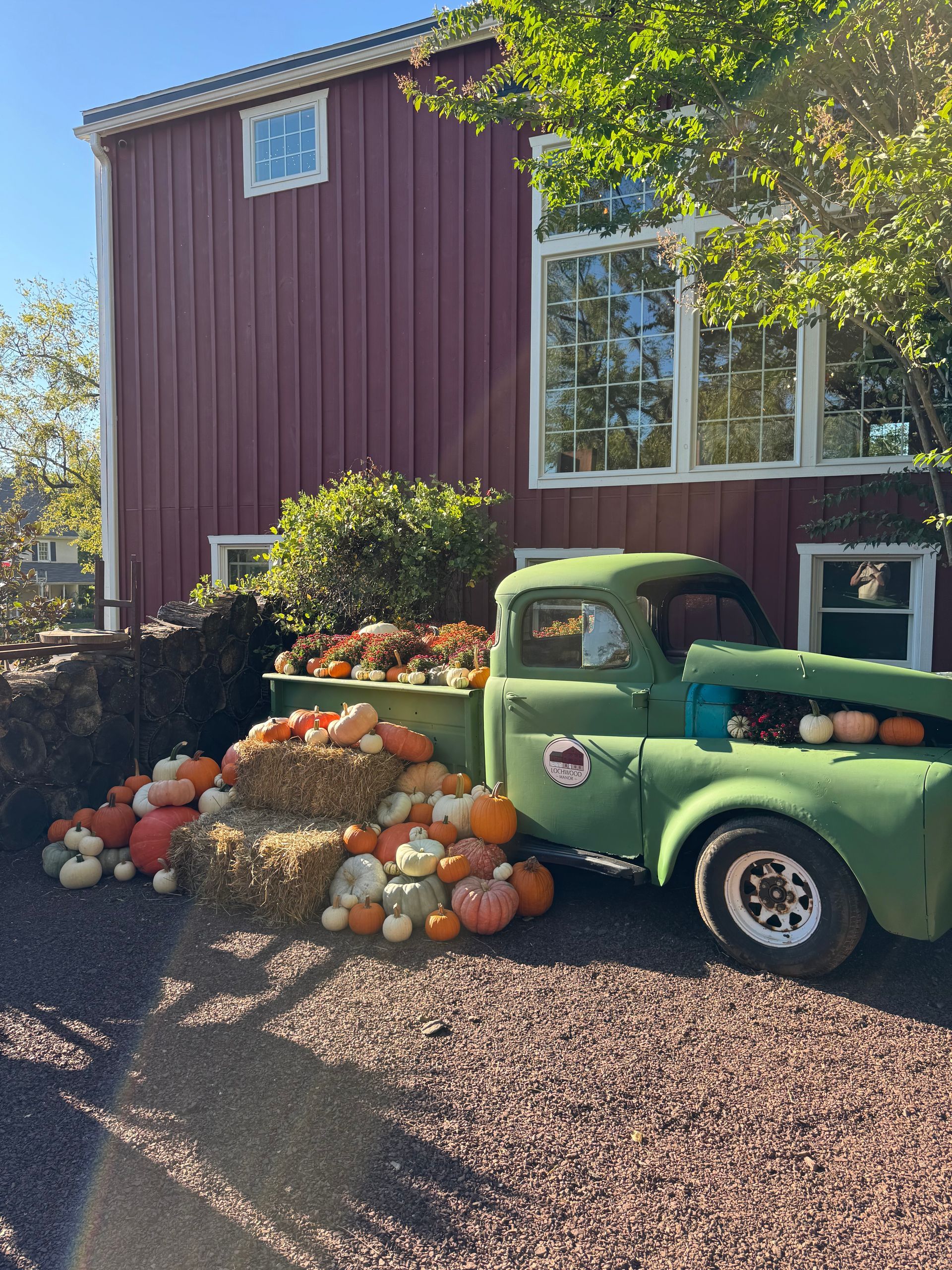 Green vintage truck filled with pumpkins; beside red building with large windows.