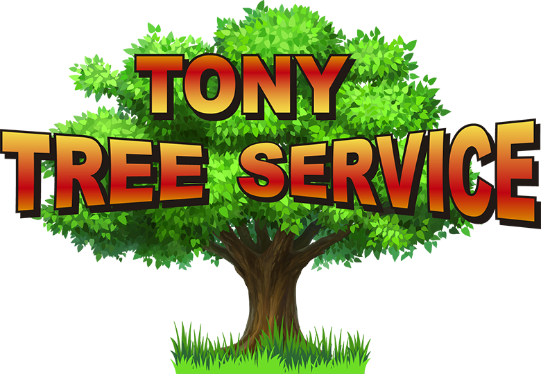 Tony Tree Service Logo