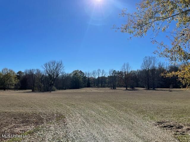 Land for Sale - Terry Rd, Terry, MS 39170