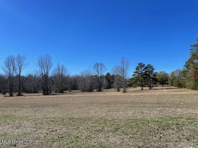 Land for Sale - Lebanon Pinegrove Rd, Terry, MS 39170