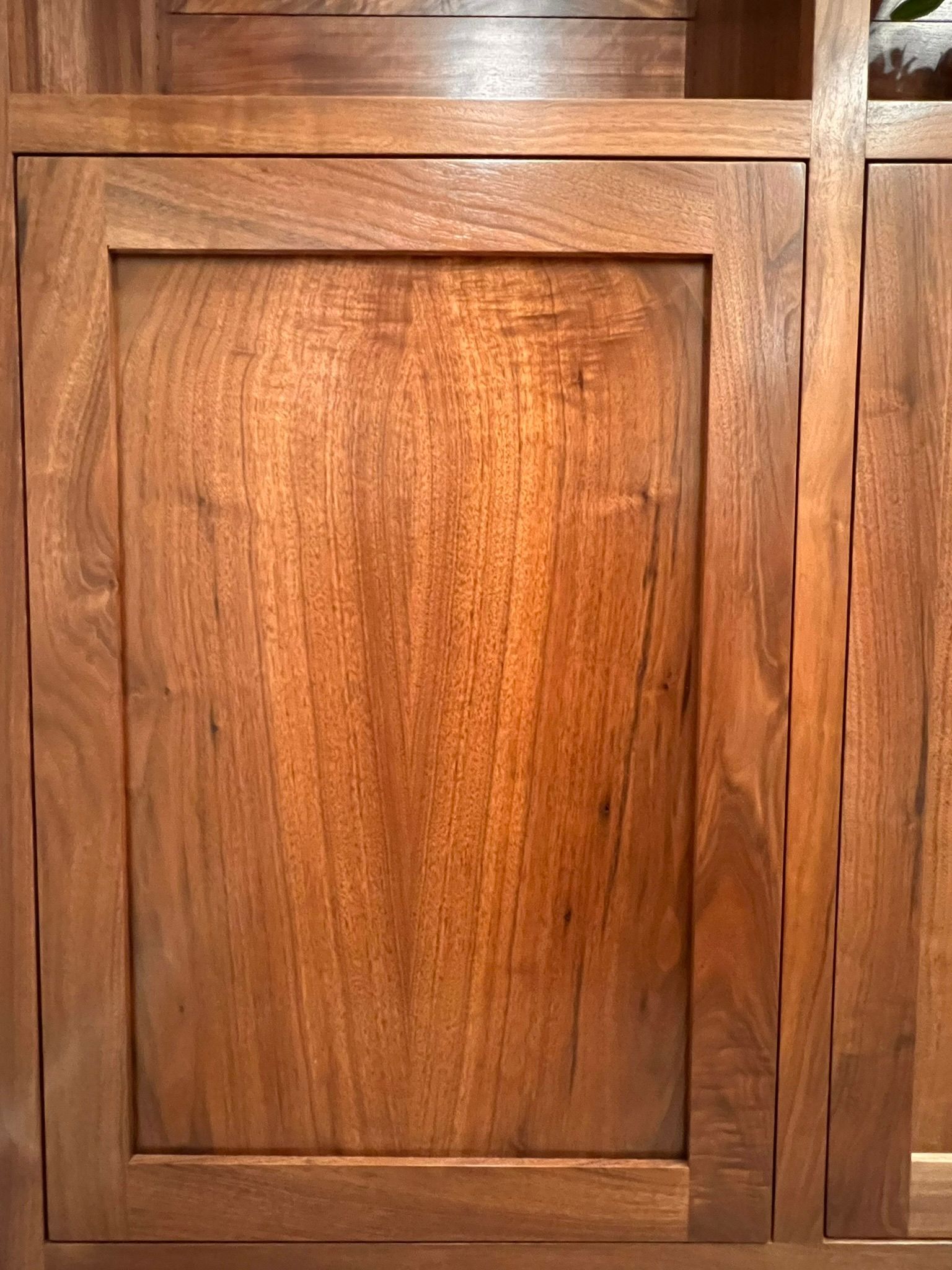 Close-up of a wooden cabinet door with a visible wood grain in a warm brown tone.