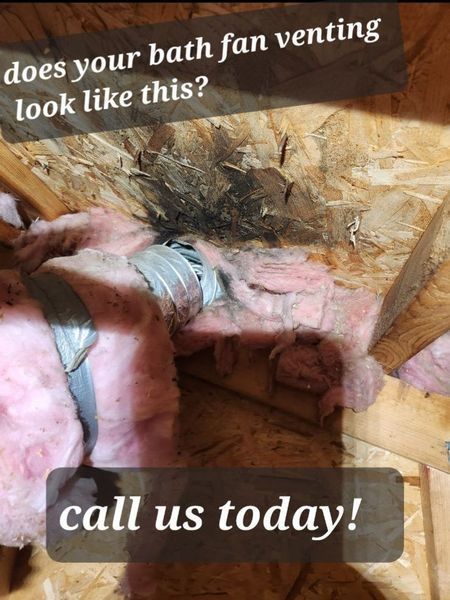 Black mold on roof boards and insulation surrounding a bathroom fan vent.