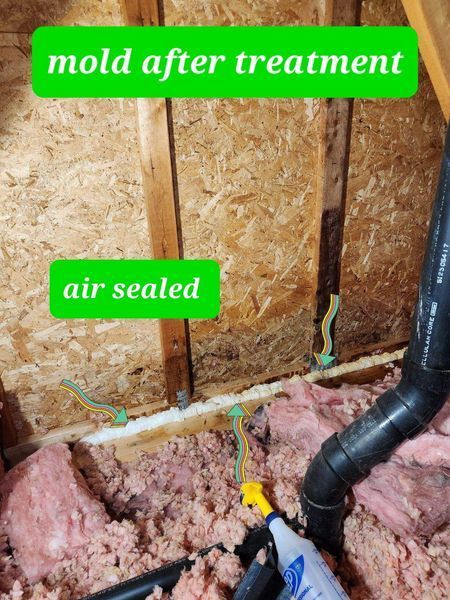 Attic insulation and wood beams after mold treatment, sealed with white caulk. Black pipe and pink insulation visible.