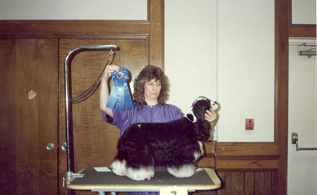 Pet Grooming Services