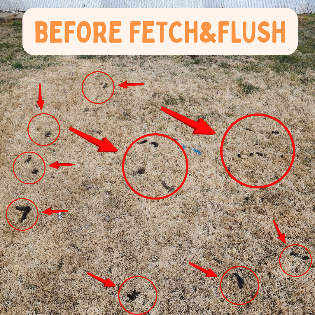Yard dog waste cleanup before
