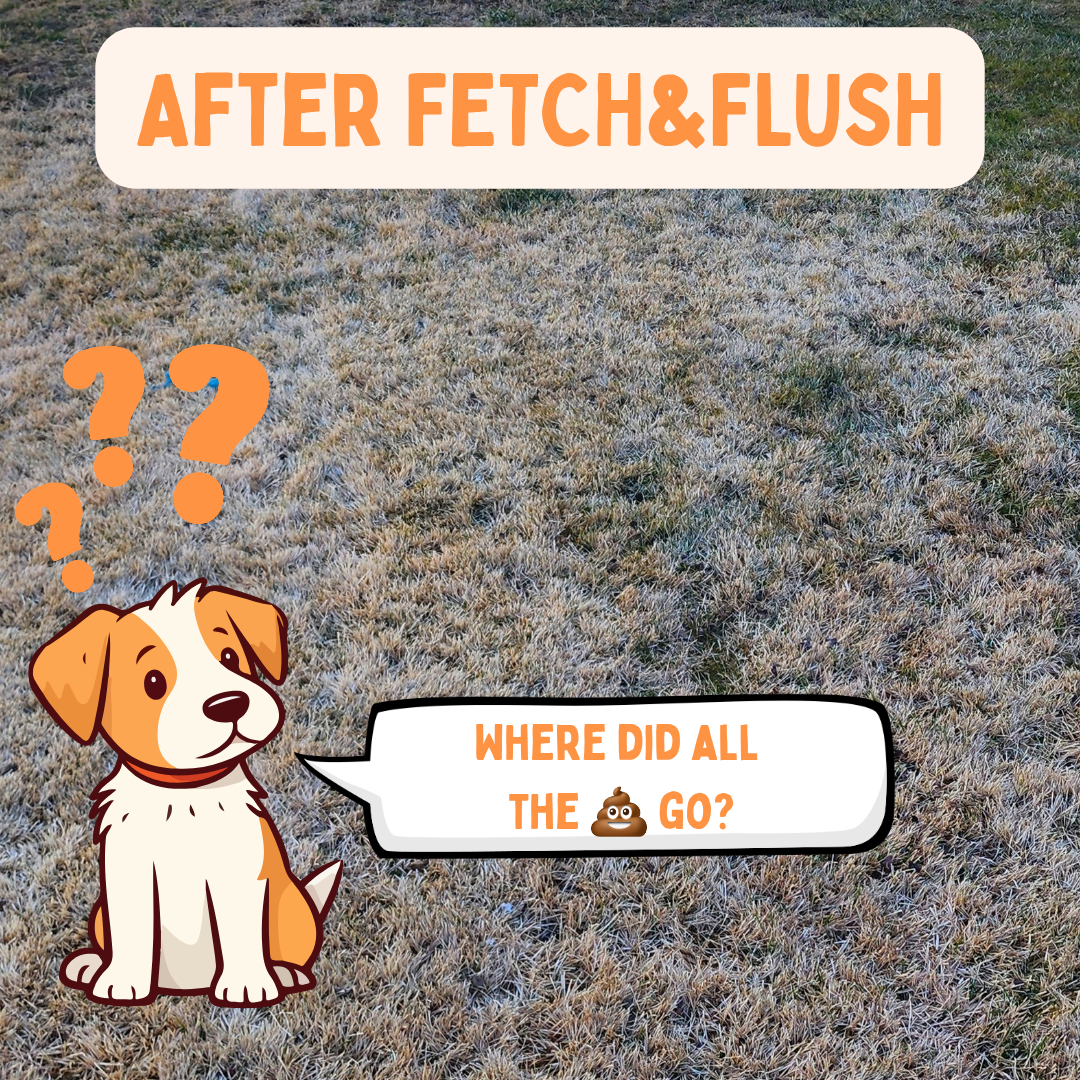 Yard dog waste cleanup after