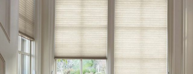 Honeycomb and pleated shades
