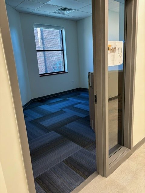 Blue Carpets