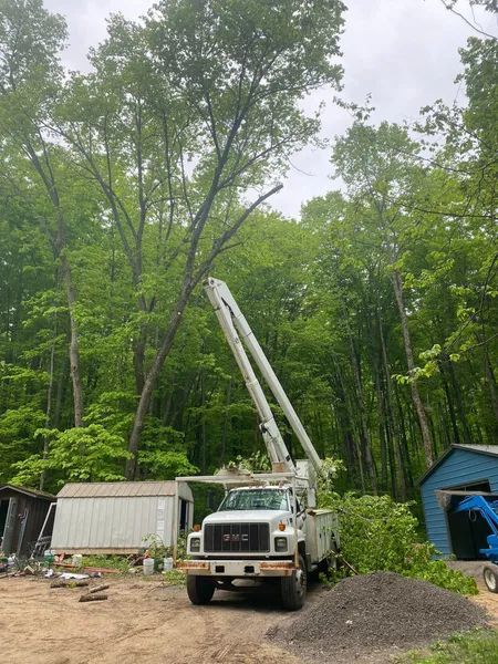 A tree trimming truck with its arm extended, cutting branches of a tall tree, in a wooded area.
