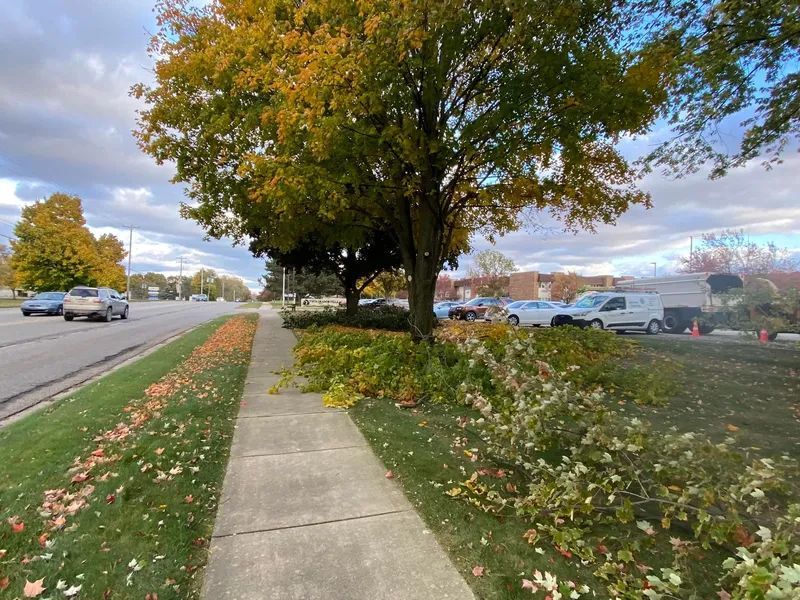 Sidewalk alongside a road with cars, trees with yellow leaves, and cloudy sky.