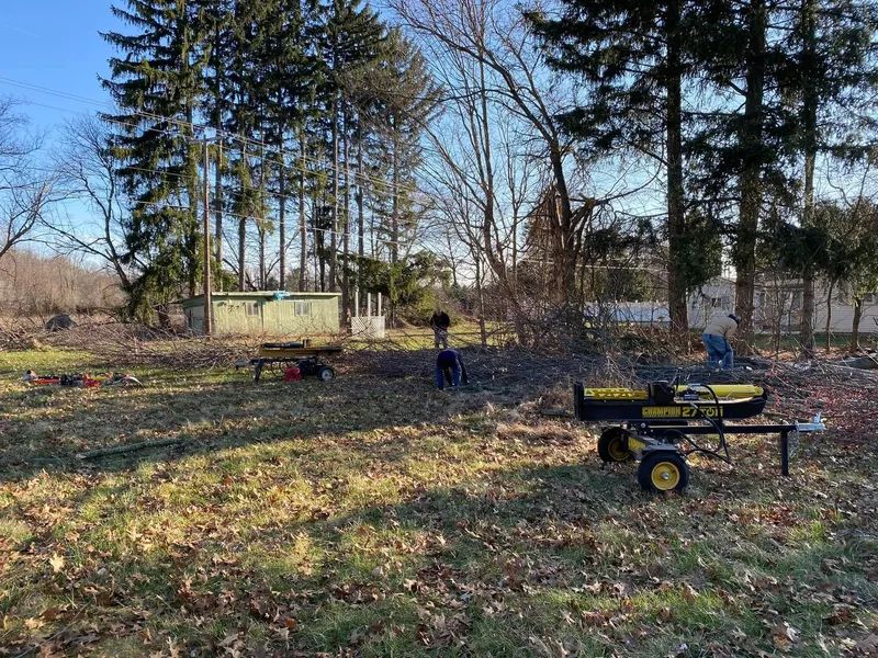A log splitter sits in a yard with trees. Autumn leaves cover the ground. A small shed is in the background.