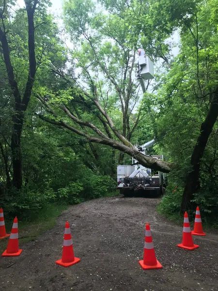 Tree trimming crew in a bucket truck, sawing a large branch over a dirt road, marked with safety cones.