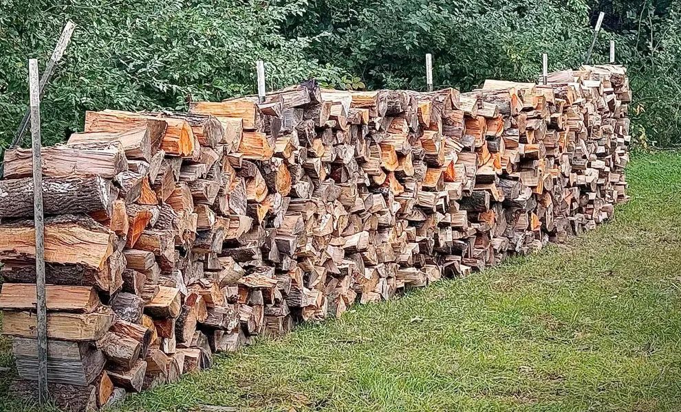 Pile of firewood stacked neatly on green grass, secured by posts.