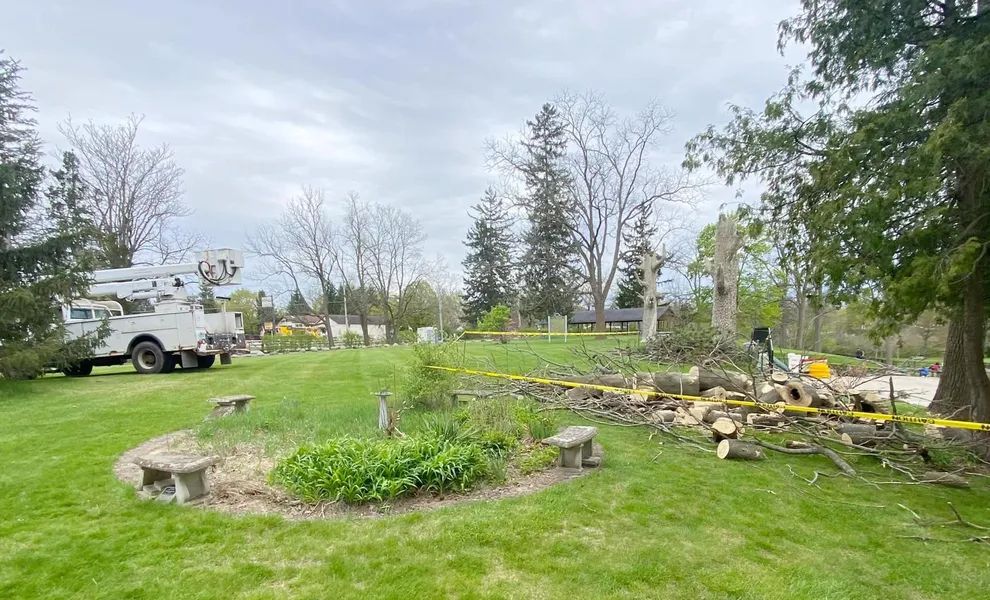 Truck with a lift near felled tree, logs, and debris in a yard; overcast sky.