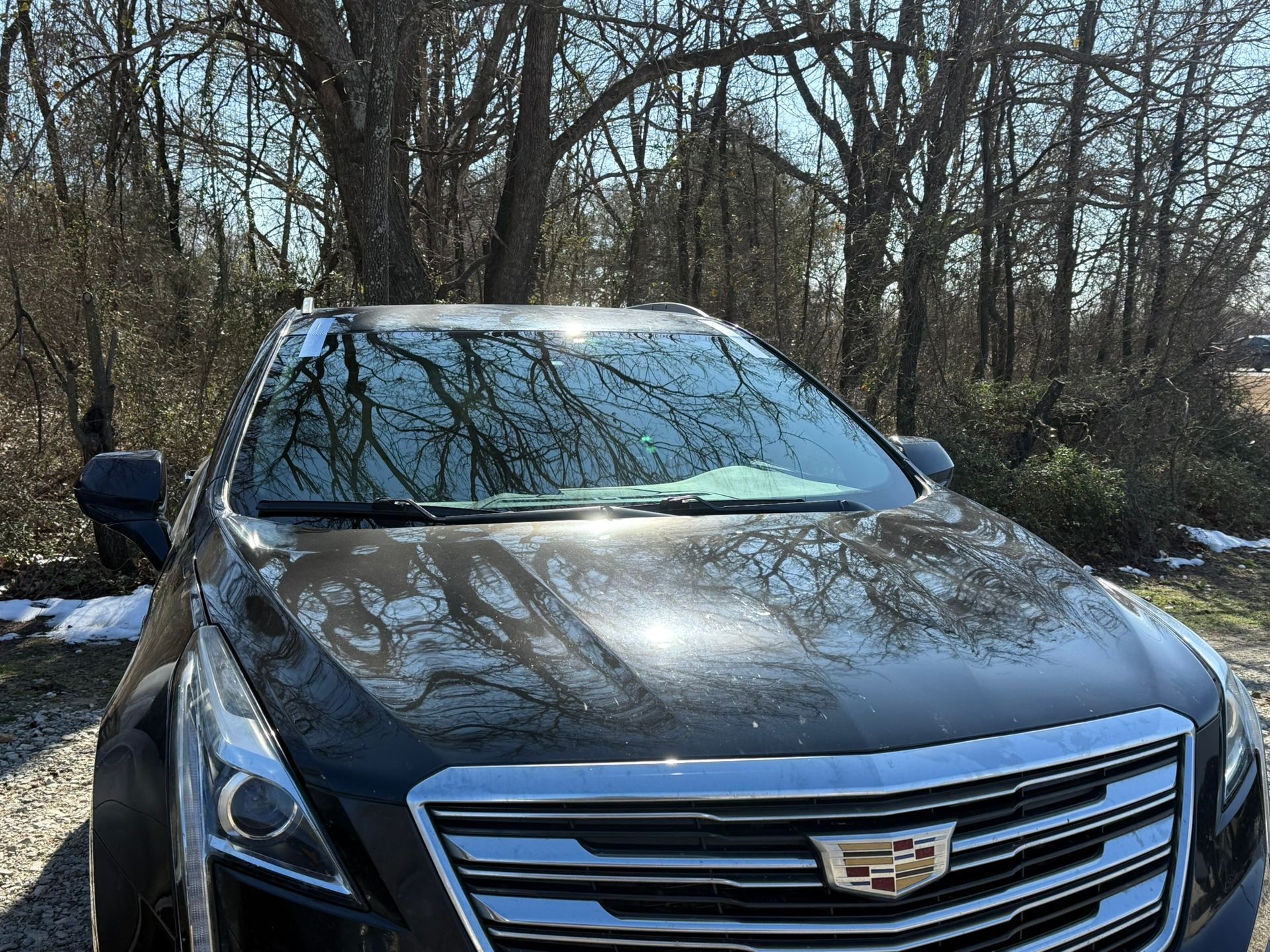 Dark Cadillac SUV parked in front of trees, with ice/frost on the windshield. Sunny day.
