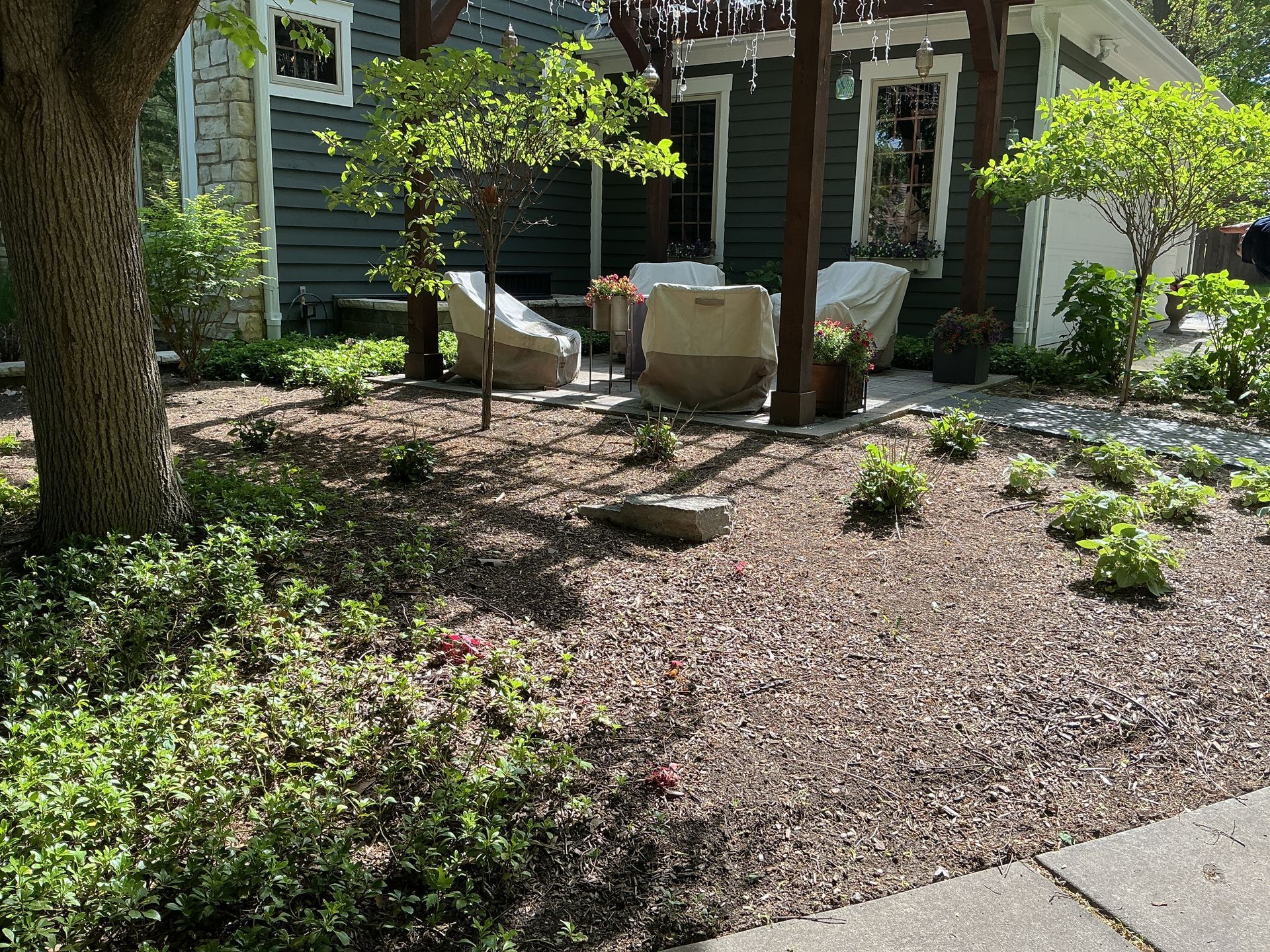 Front yard garden with mulch beds, shrubs, trees, and two chairs near a house porch