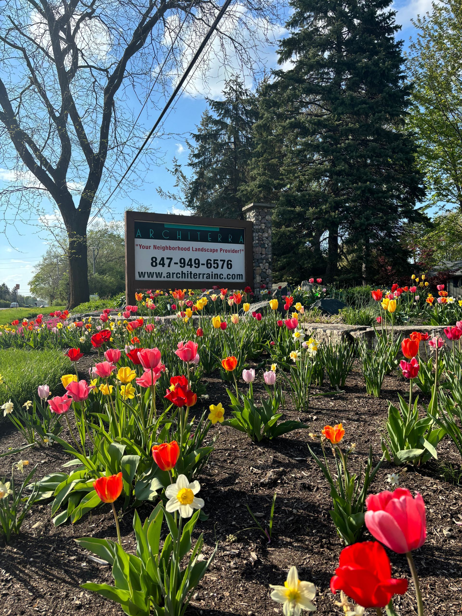 Architerra sign surrounded by tulips