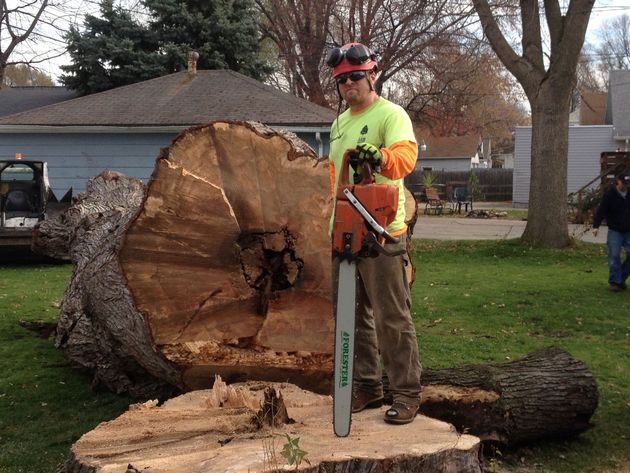 Aaw Tree Service
