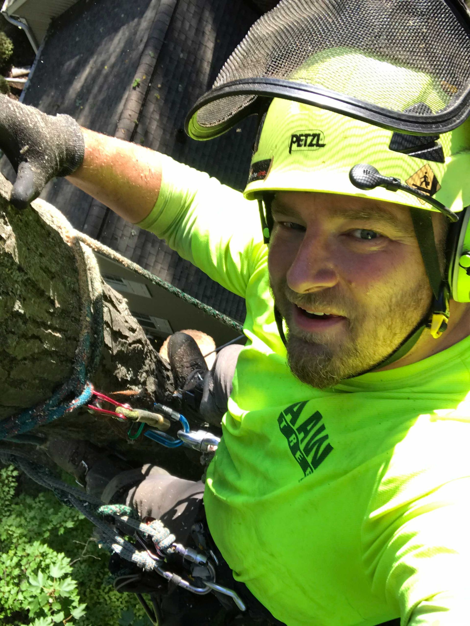 Arborist in neon green shirt and helmet, high in a tree, looking at the camera.