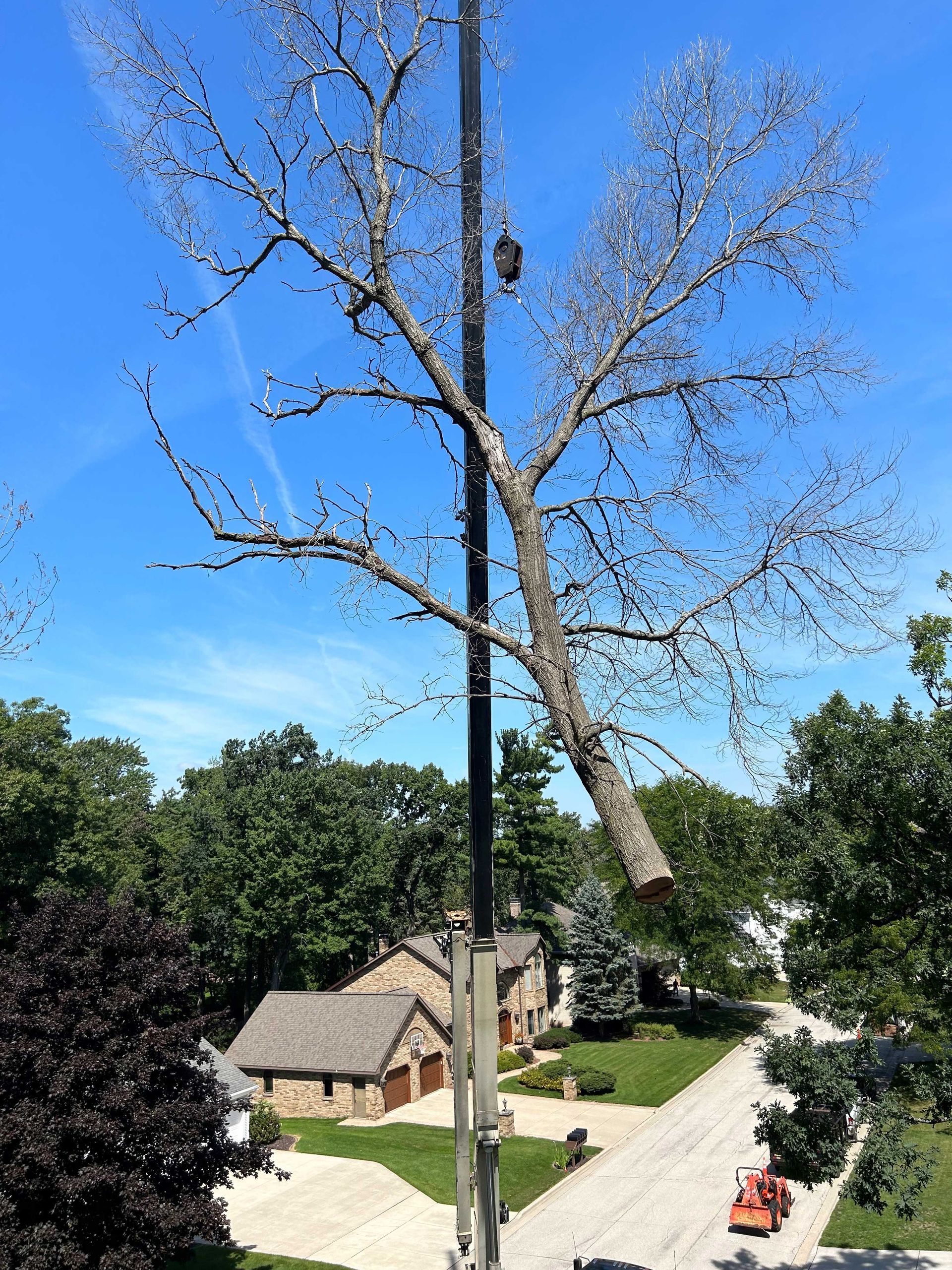 A tree being cut down by a lift crane on a sunny day in a suburban neighborhood.