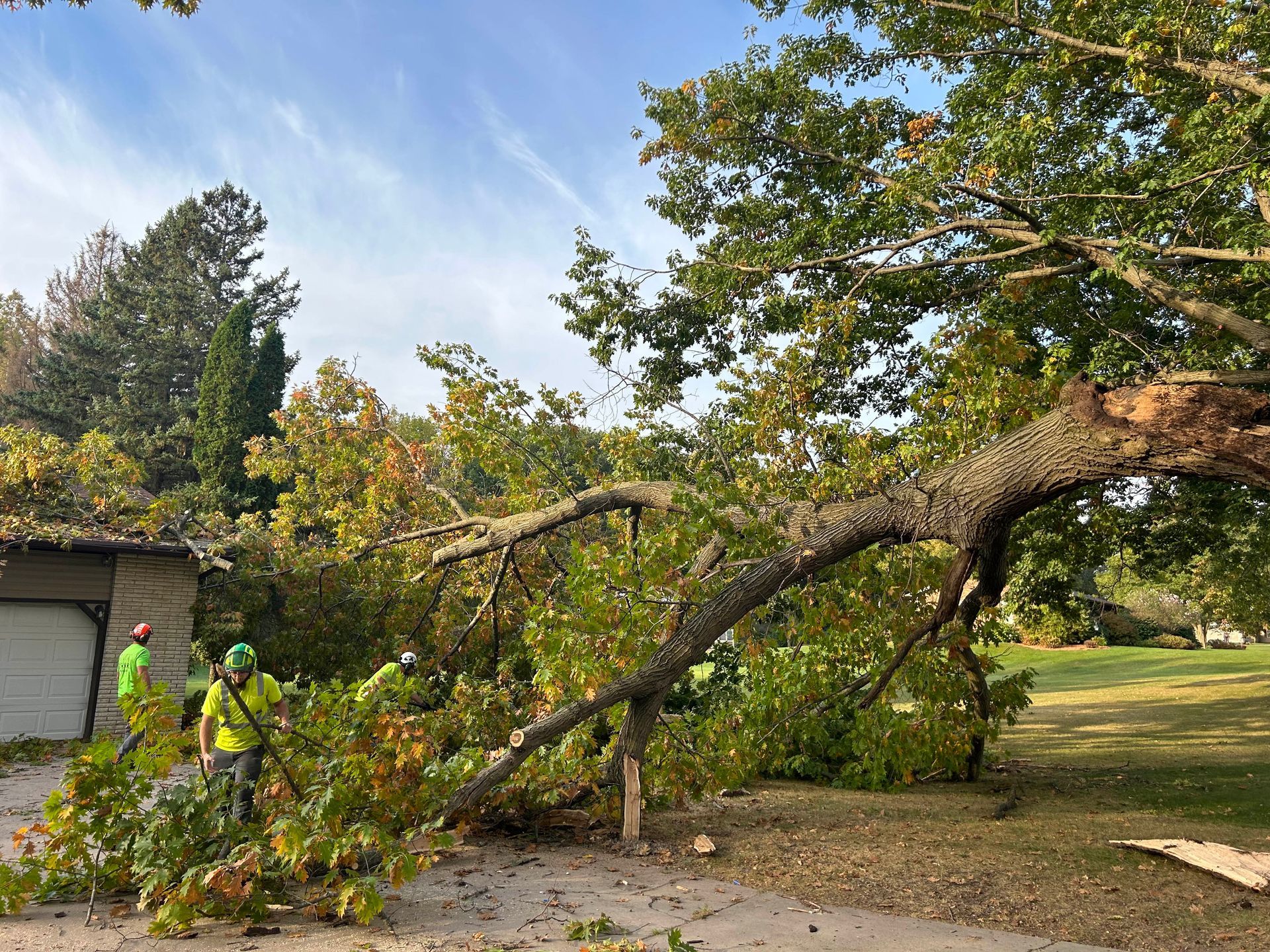 A tree's broken branch lies on a garage. Two workers in neon vests clear debris, under a blue sky.