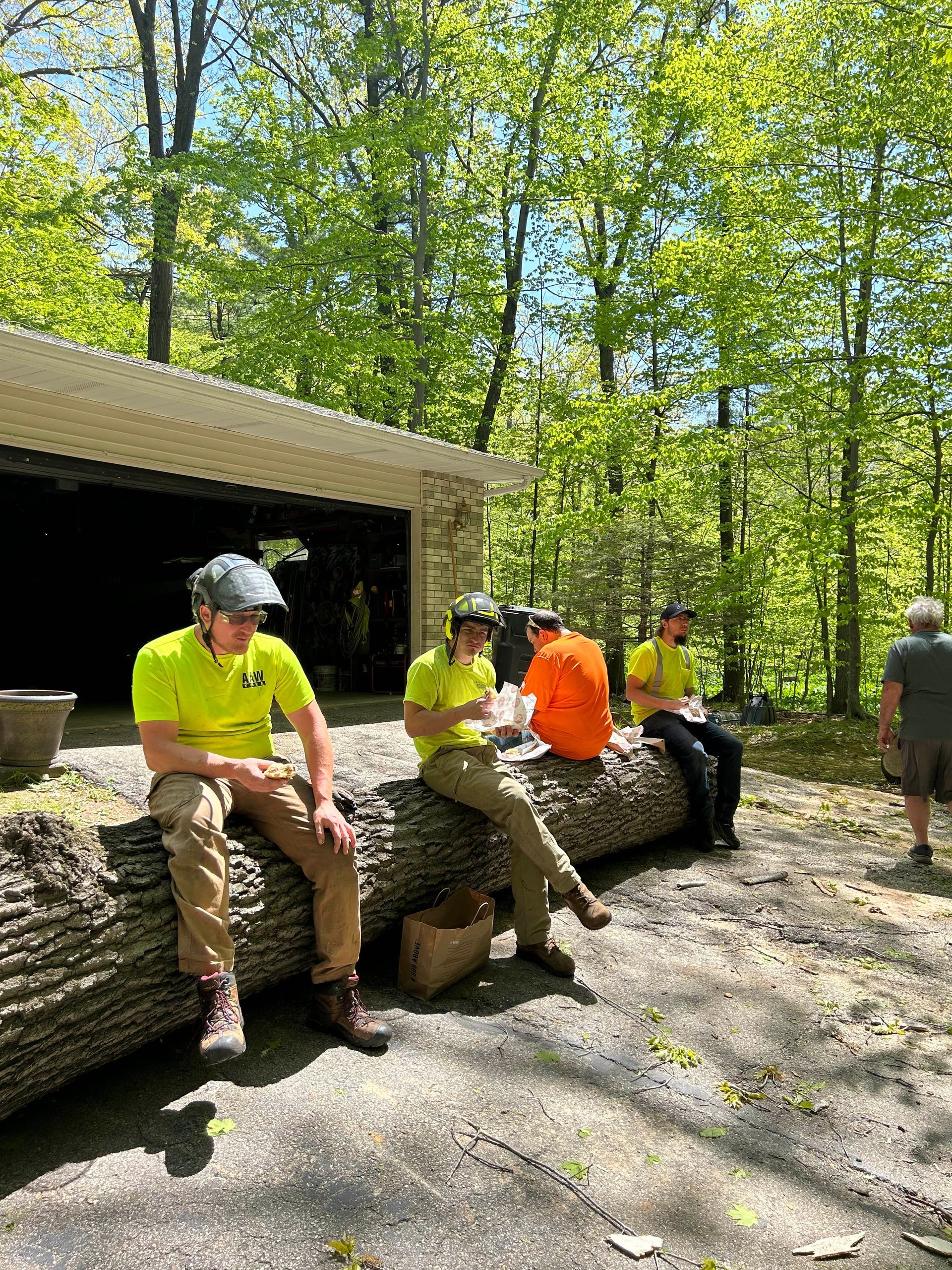 Four people in work attire sit on a log outdoors near a shelter.