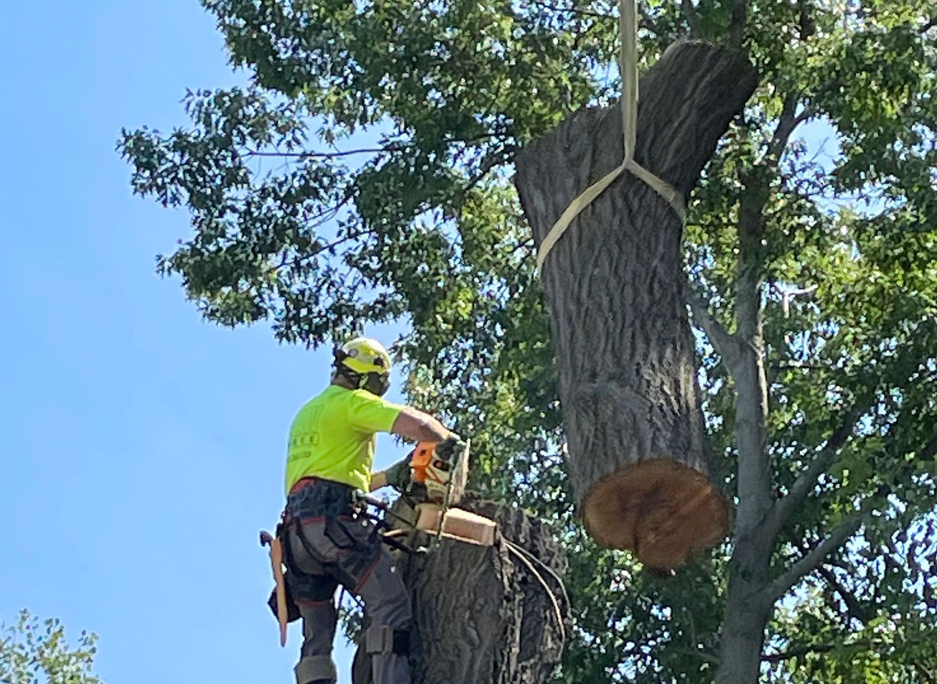 Photo of {{Team Member Name}}