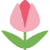 A simple, stylized pink tulip flower icon with two green leaves on a white background.
