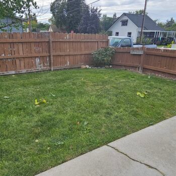 A green backyard lawn bordered by a tall wooden fence, with a white house and a pickup truck visible in the distance.