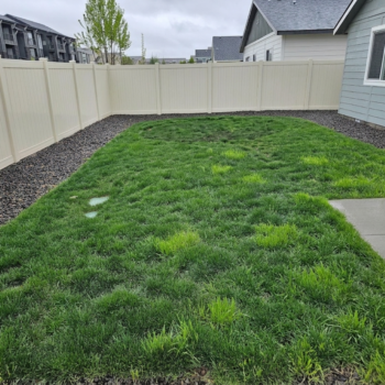 A small residential backyard featuring a patchy, green grassy area bordered by dark gravel and a tall, beige vinyl fence.