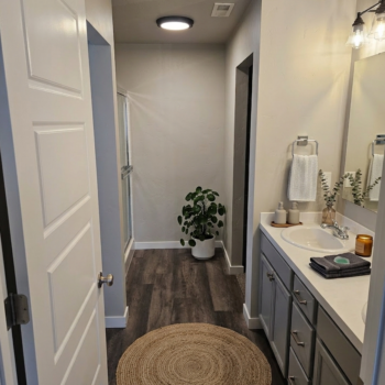 A bathroom with a gray vanity, white countertop, round jute rug on wood-look flooring, and a potted plant in the corner.