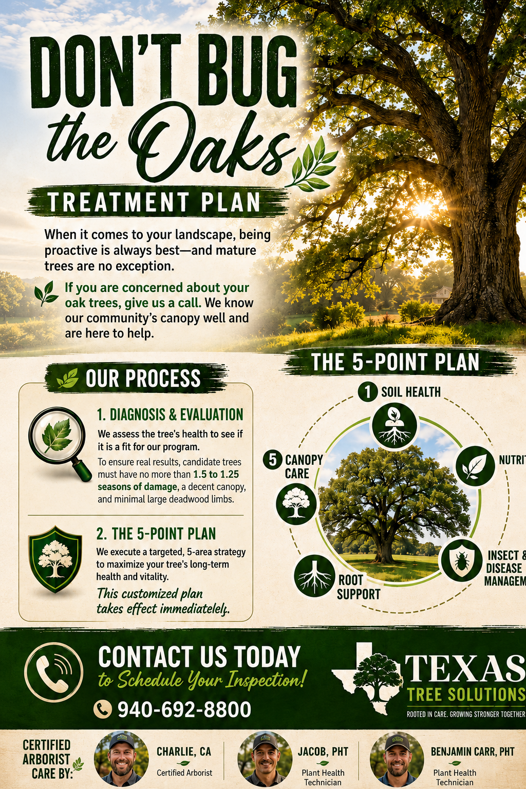 Don’t bug the Oaks treatment plan flyer with green tree graphic and contact info for Texas Tree Services