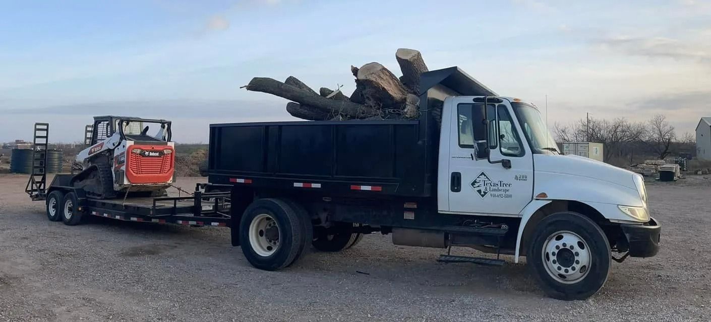 A white dump truck loaded with logs, towing a trailer with an orange skid steer, on gravel.