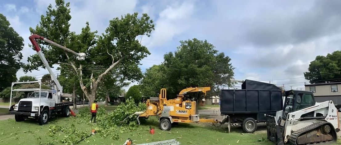 Tree removal equipment working on a large tree. Includes a lift truck, chipper, dump truck, and skid steer. Green grass, cloudy sky.