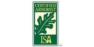 A green Certified Arborist ISA logo featuring a leaf inside a green rectangle. 