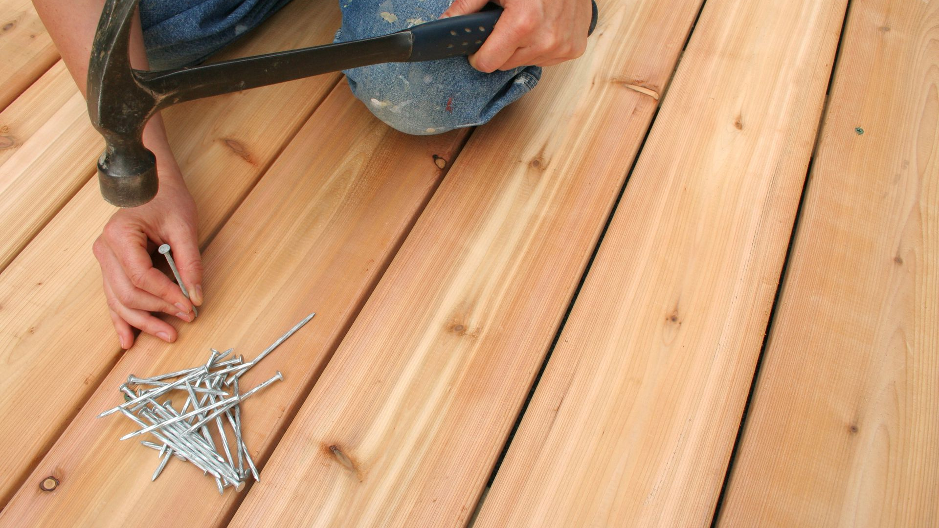 Coghlan Painting & Carpentry