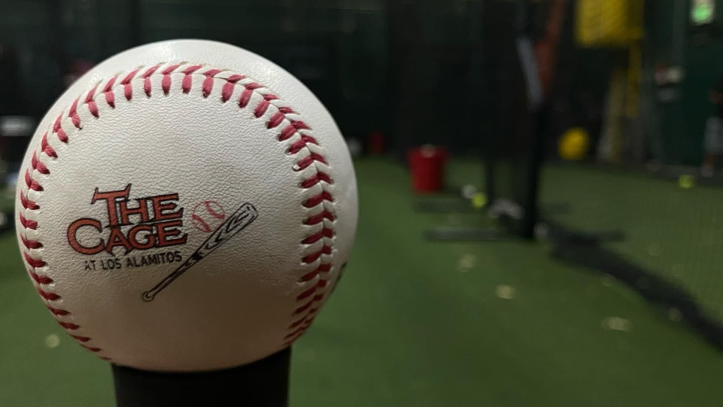 A baseball is sitting on a pole in a cage.