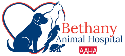 Bethany Animal Hospital logo
