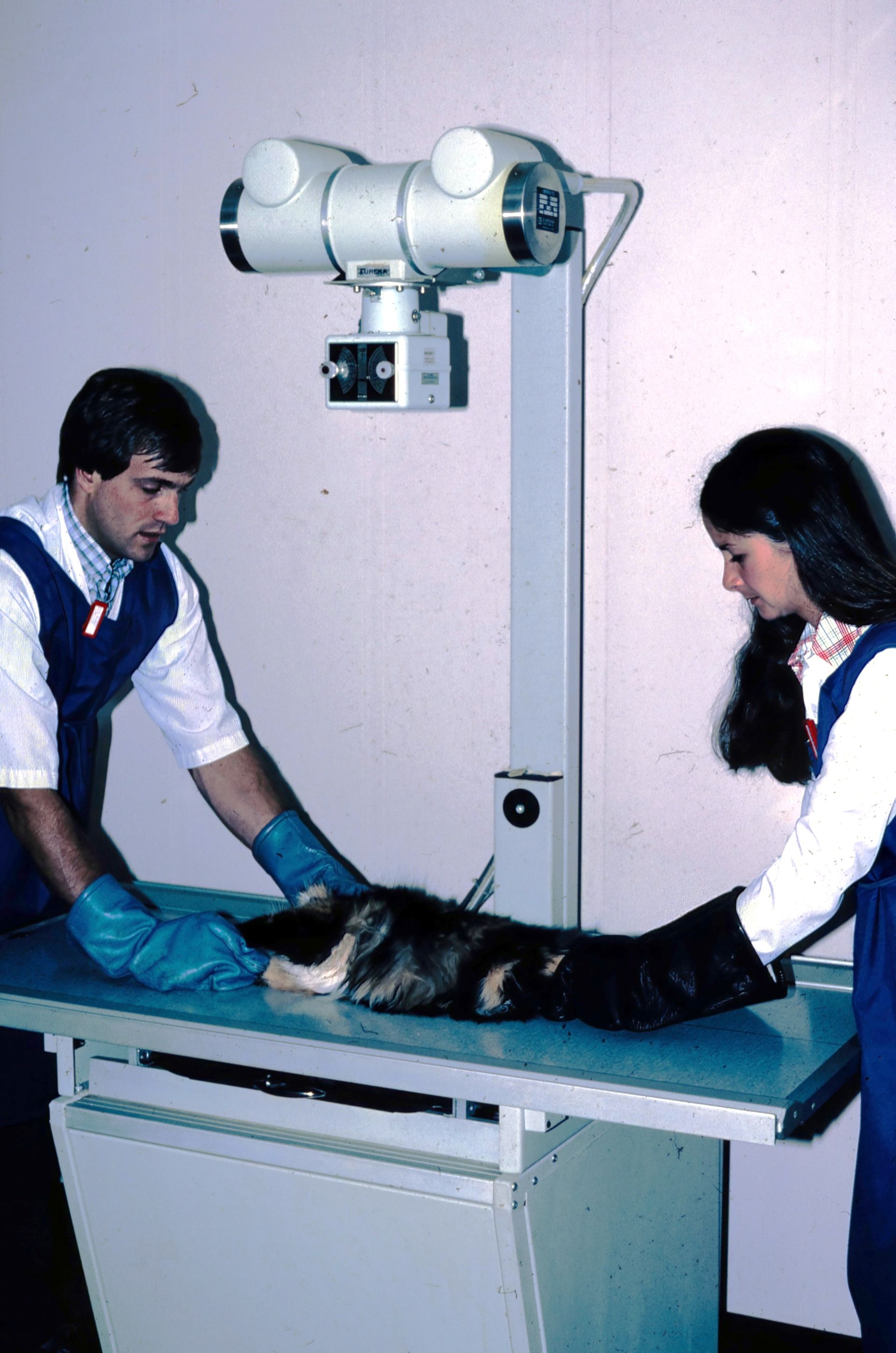 Veterinarians examining a cat on an x-ray table under a ceiling-mounted imaging device
