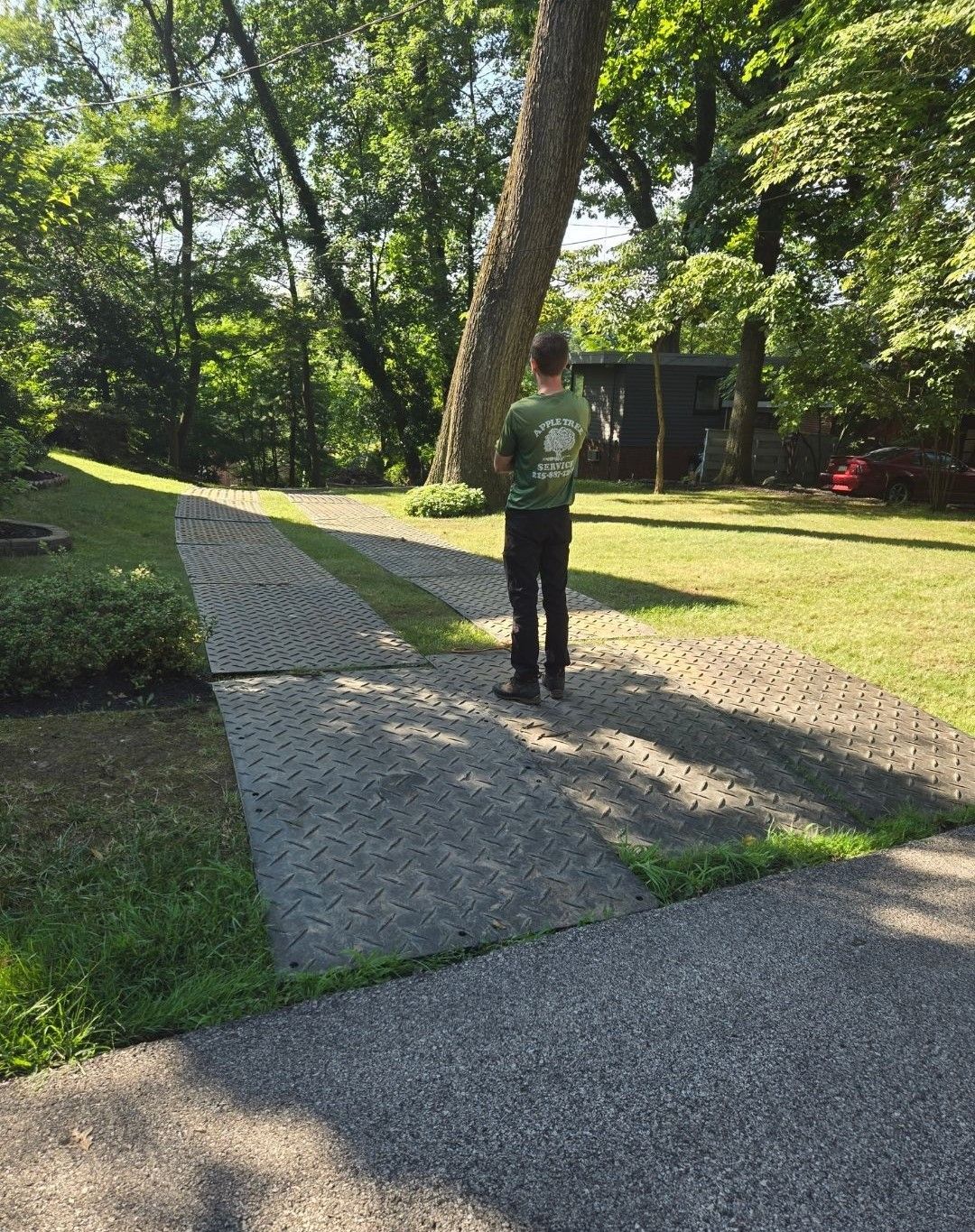 A man in a green shirt is standing on a sidewalk next to a tree.