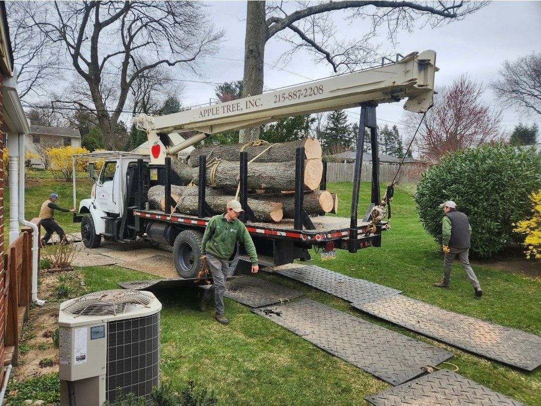 A man is standing next to a truck loaded with logs.