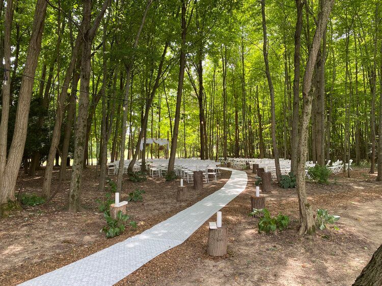 A white aisle in the middle of a forest.