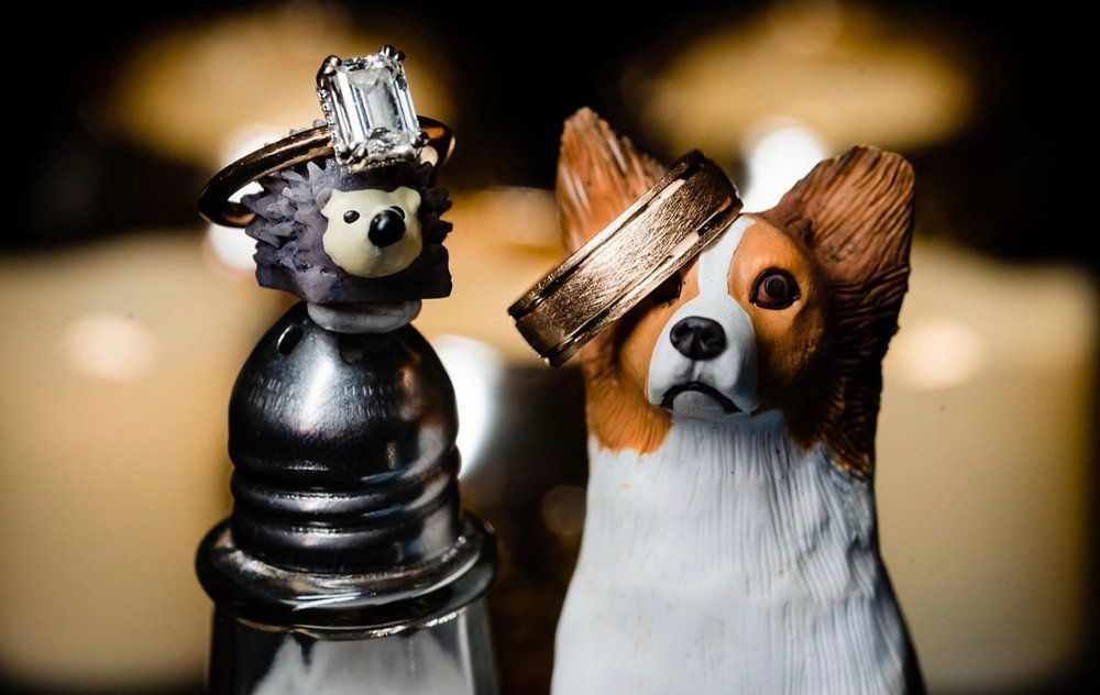 A couple of figurines of dogs with wedding rings on their heads.
