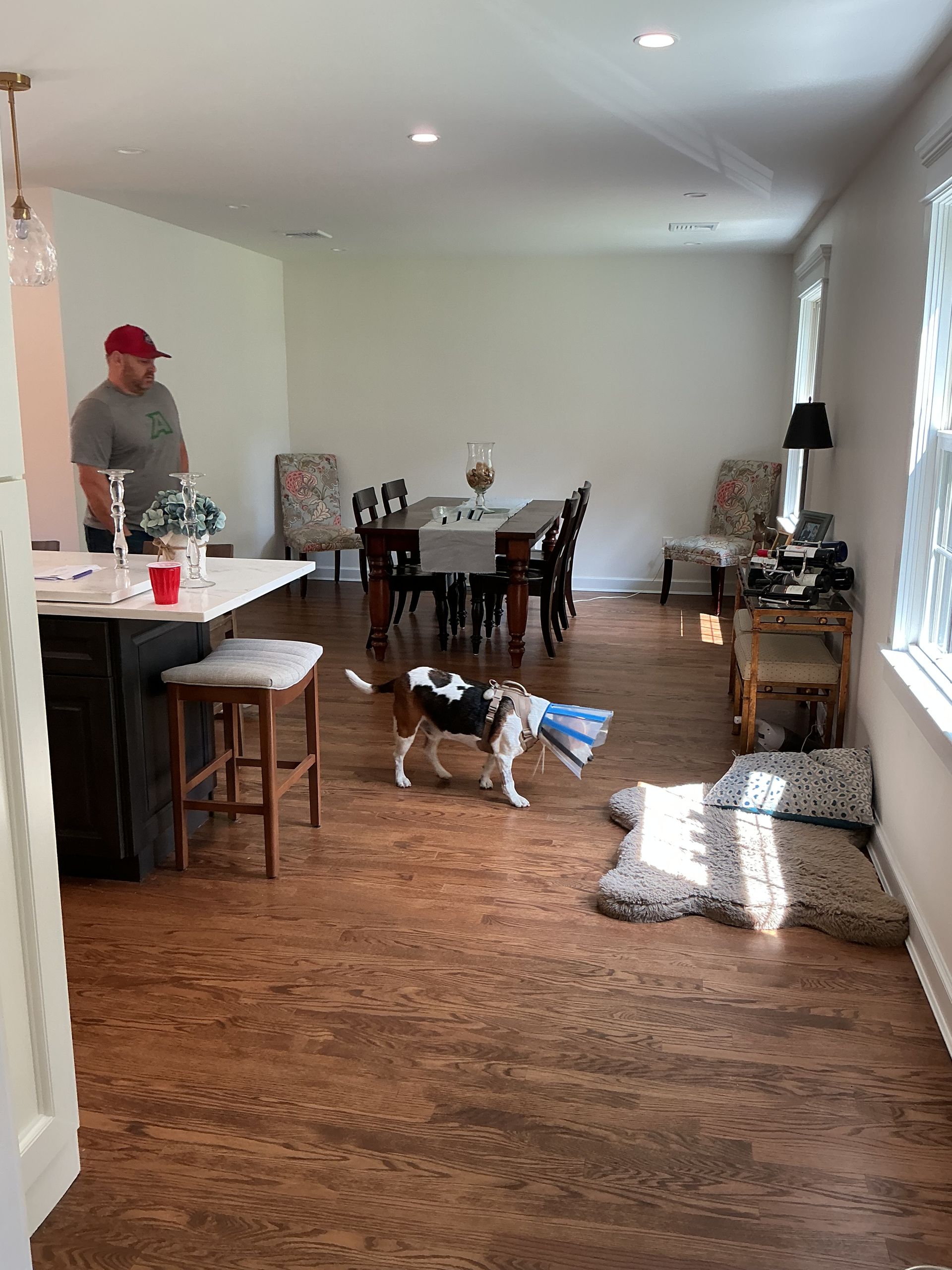 Living room with hardwood floors, a person in a red cap, and a dog near a dining table and chairs.